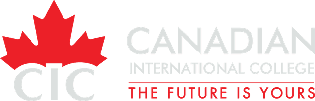 Cairo International College